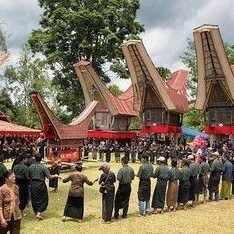 491fb76bb6500dc1b7bf1a2fecbdb6df